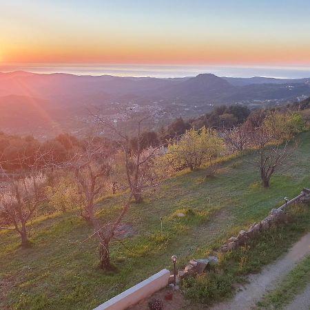 Oasi Del Benessere 호텔 Ilbono 외부 사진