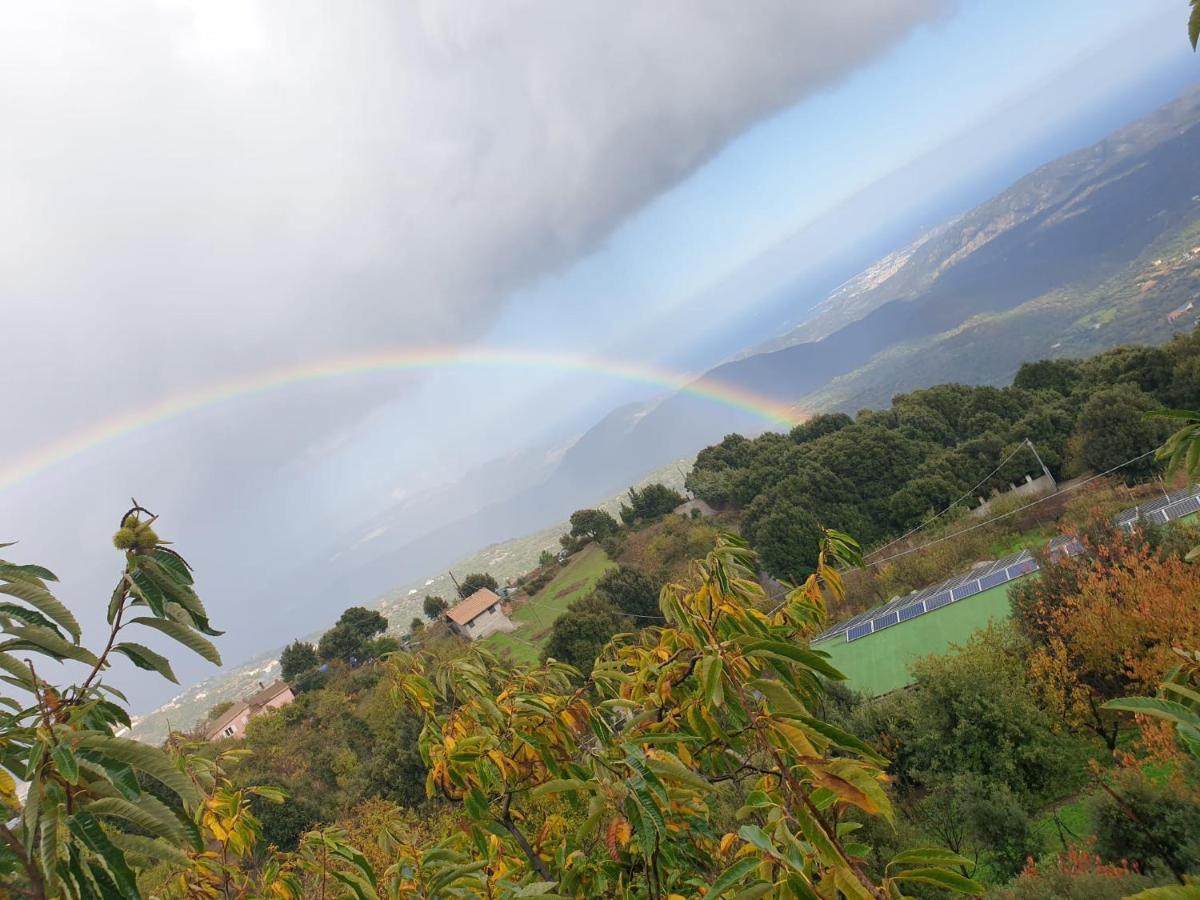 Oasi Del Benessere Ilbono 외부 사진