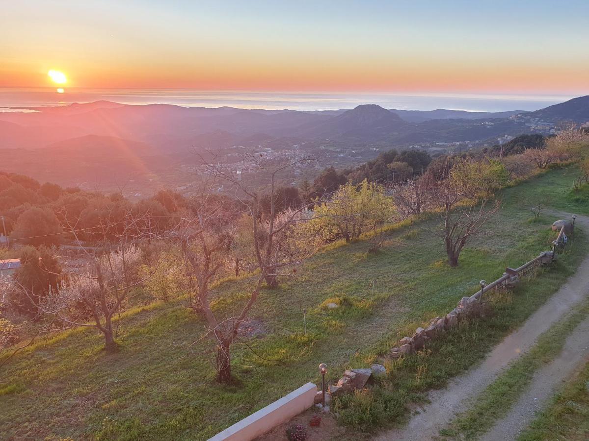 Oasi Del Benessere 호텔 Ilbono 외부 사진